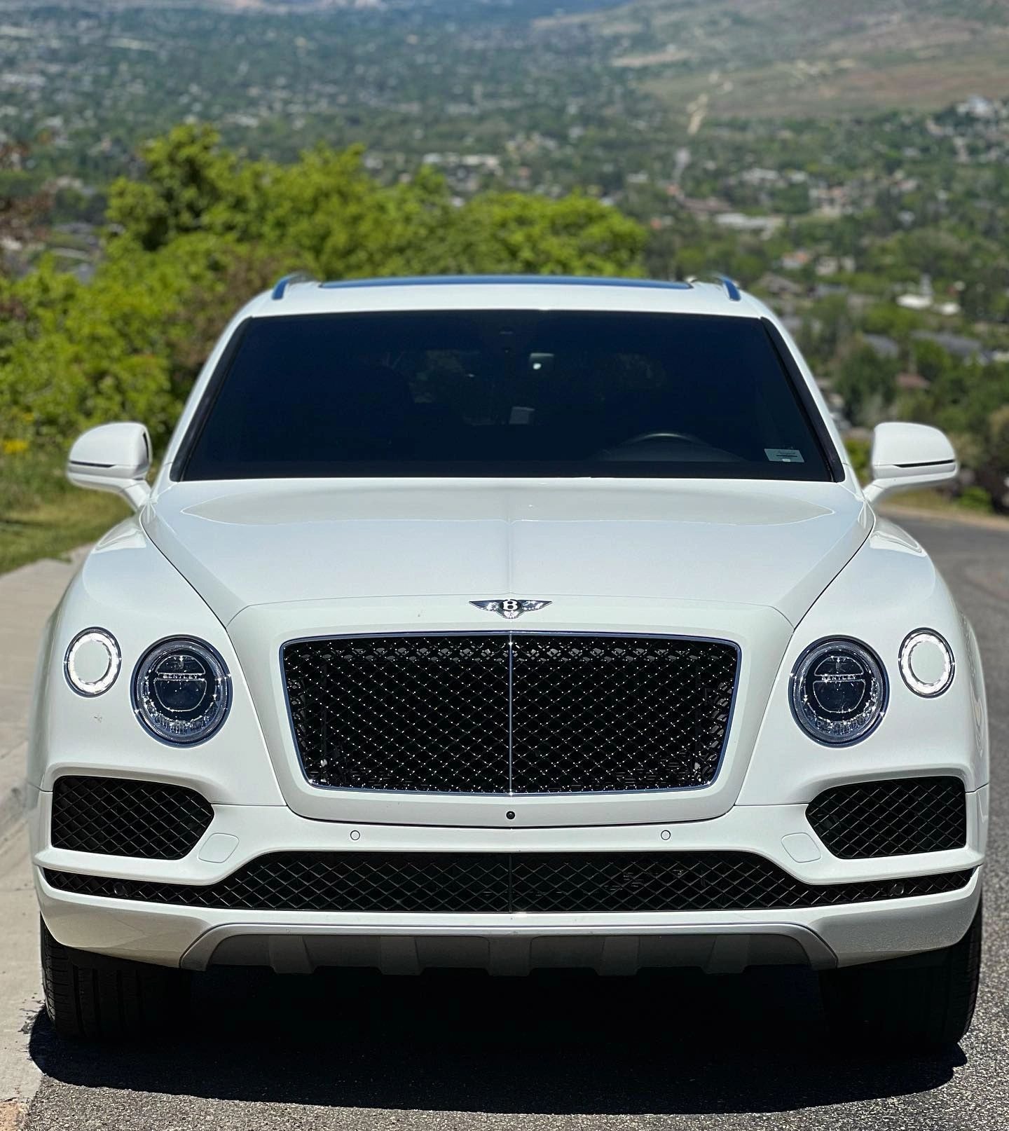 Bentley Continental GT with paint protection film applied by Tint Citi Utah in West Valley City, UT